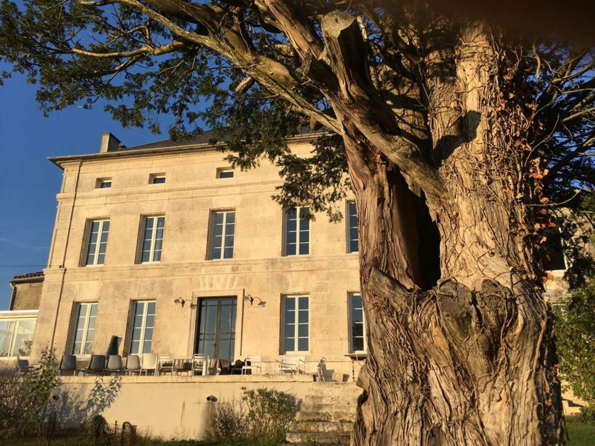 Mareuil Le Dojo Du Plessis Bed & Breakfast エクステリア 写真